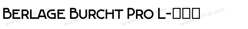 Berlage Burcht Pro L字体转换